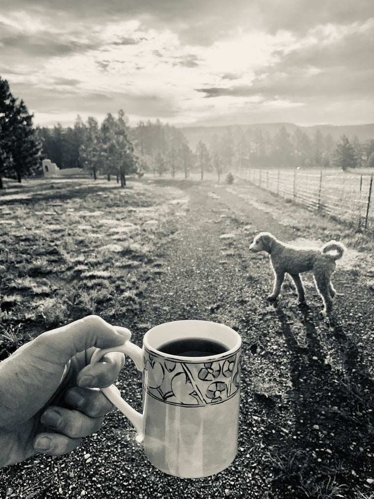 coffee mug with sunset and dog